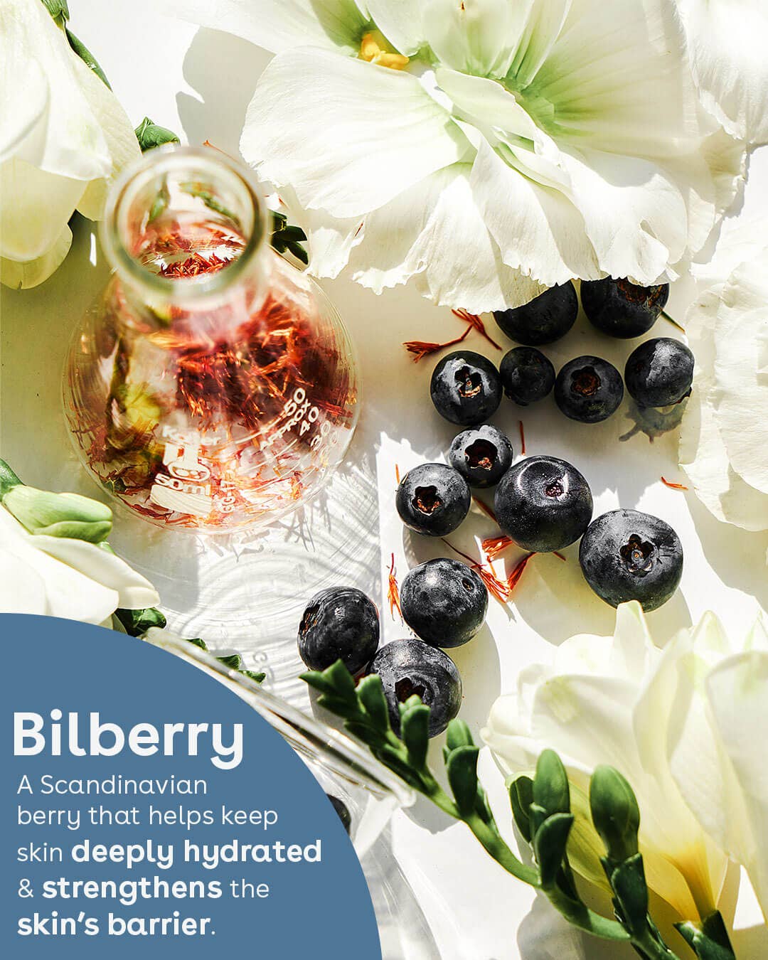 Nuria Hydrate & Revitalize Jelly Night Treatment: Wake Up to Radiant Skin - THE OKEY GIFT SHOP