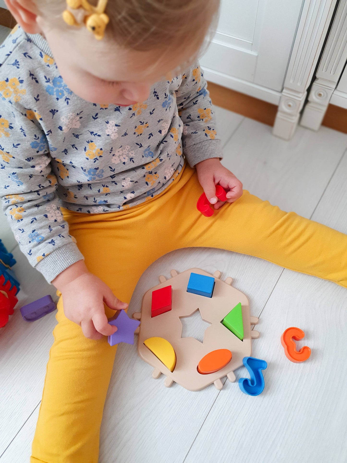 Toy Sorter, Tigres: "Forest School"