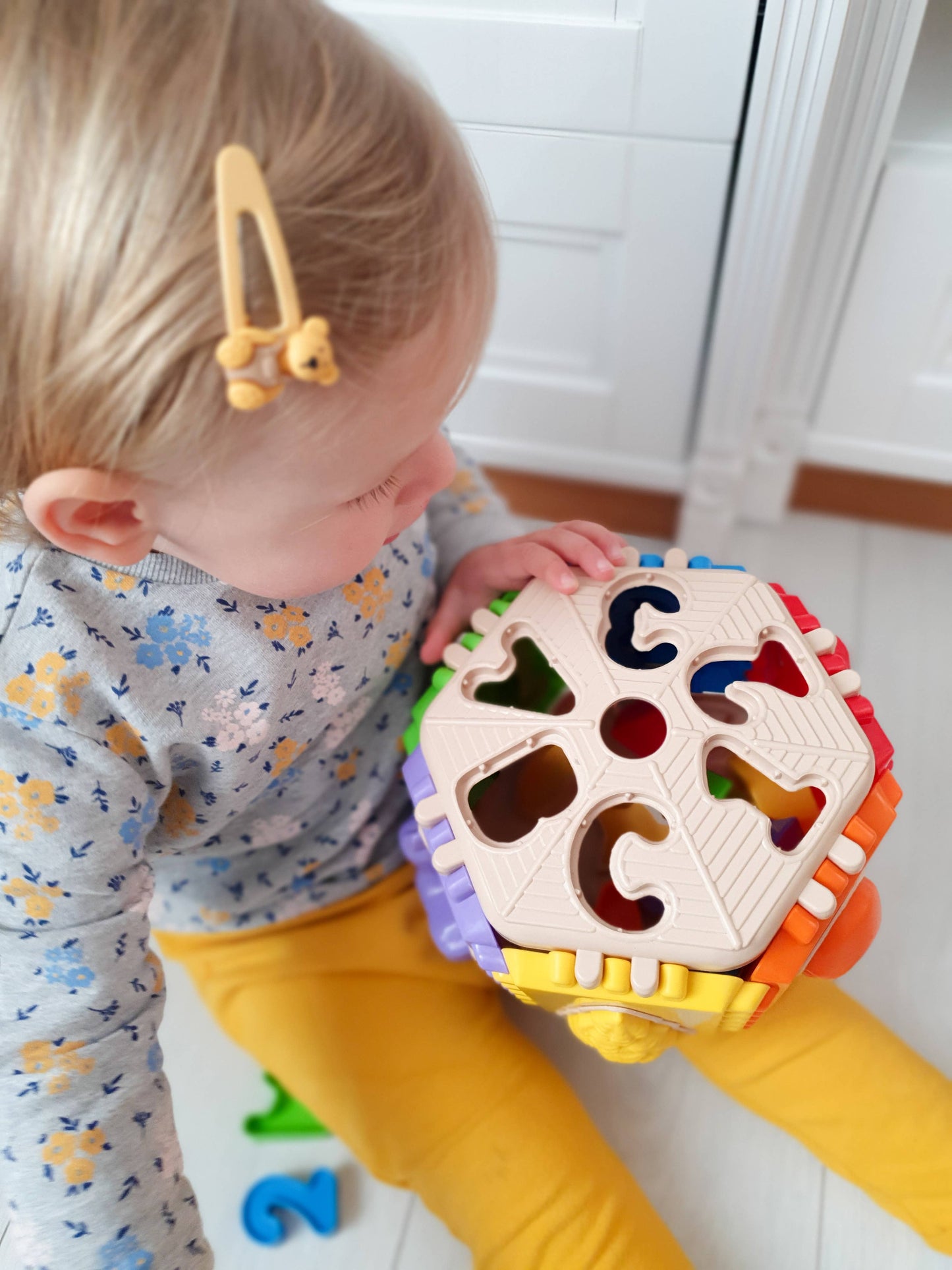 Toy Sorter, Tigres: "Forest School"