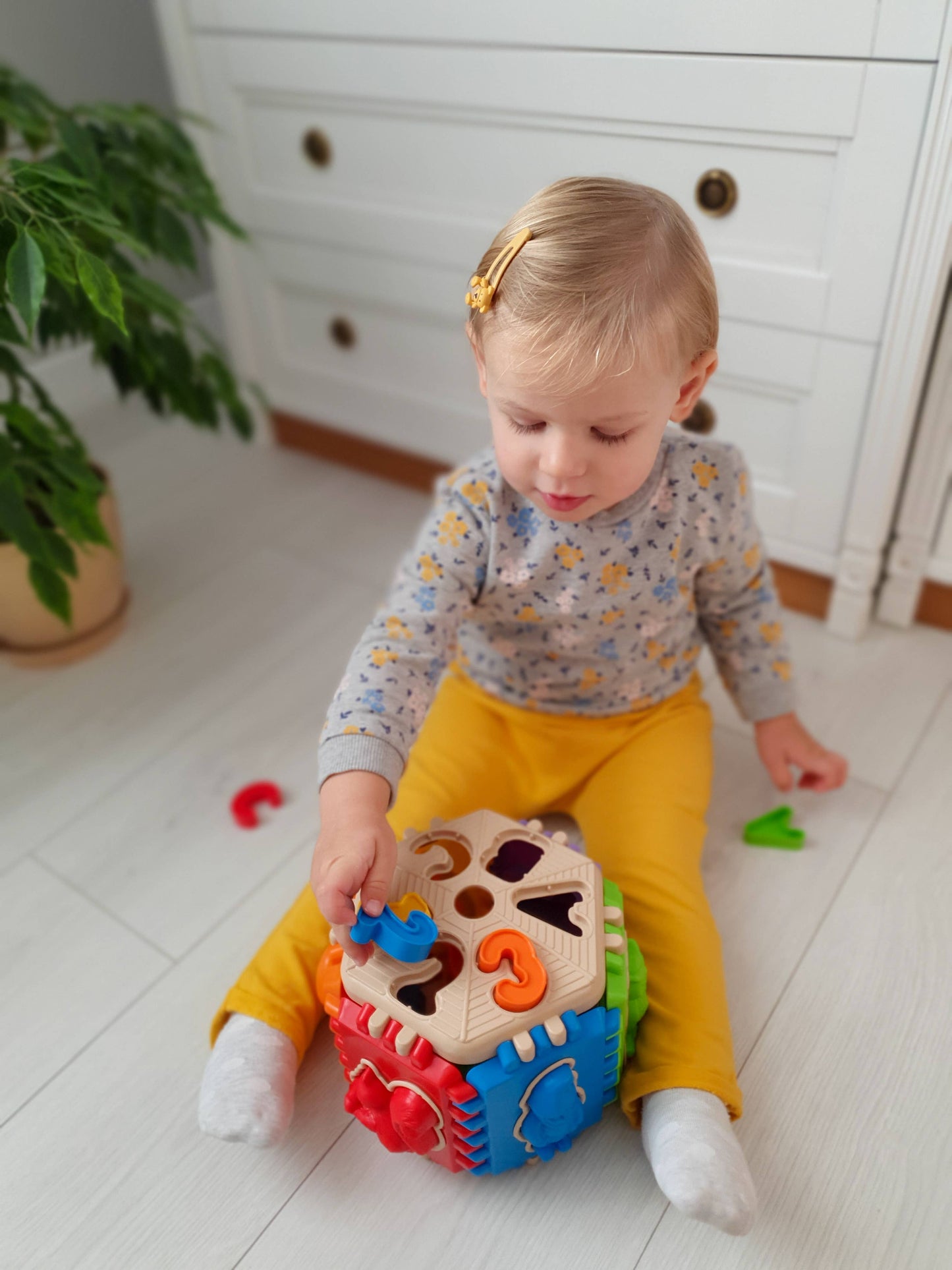 Toy Sorter, Tigres: "Forest School"