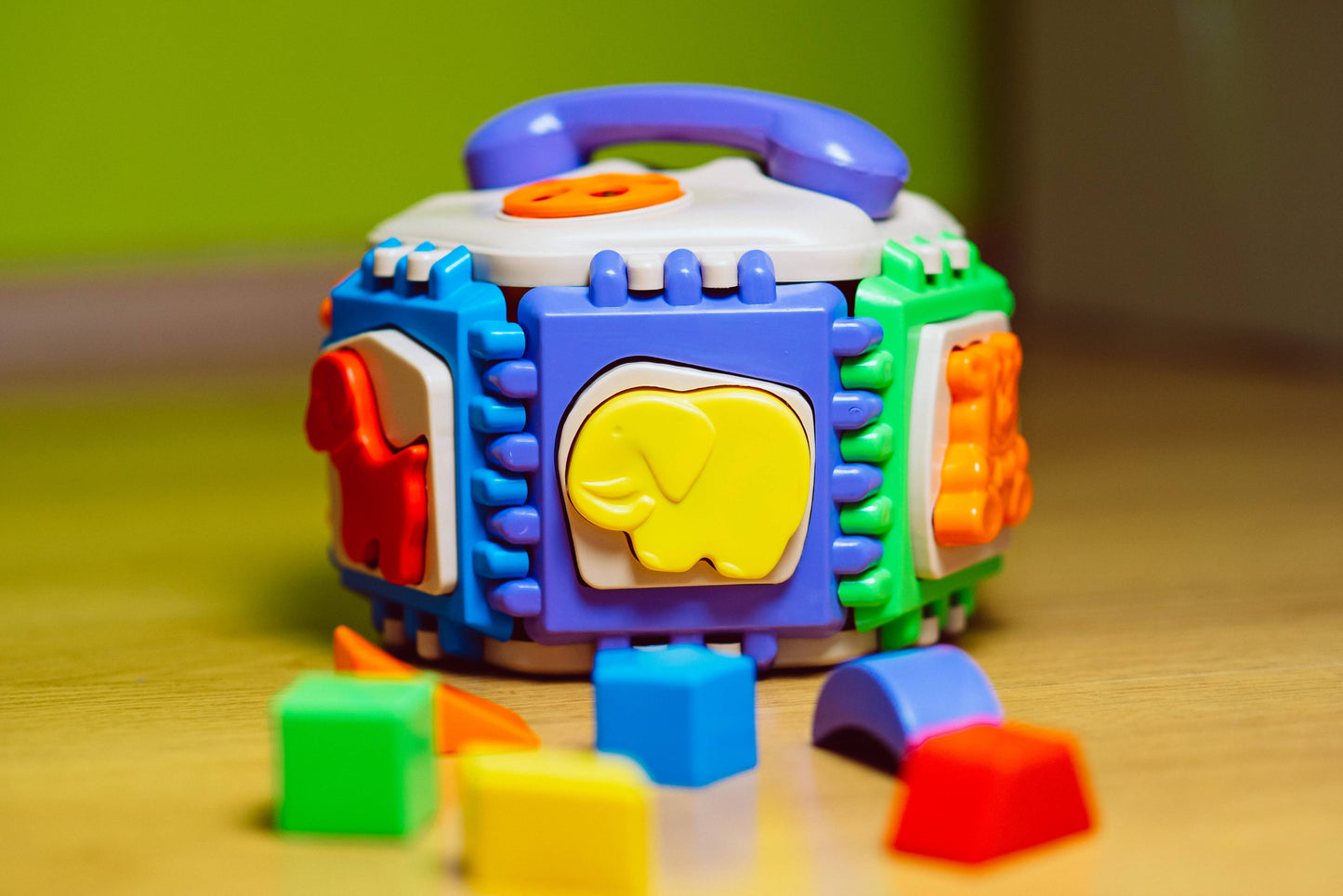 Toy Sorter, Tigres: "Forest School"