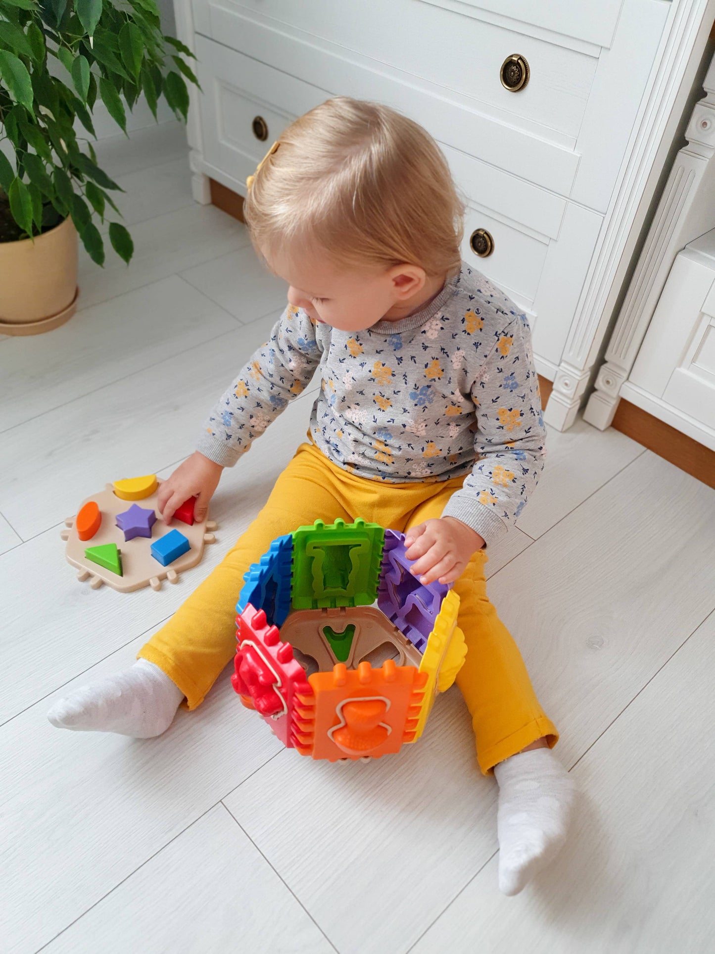 Toy Sorter, Tigres: "Forest School"